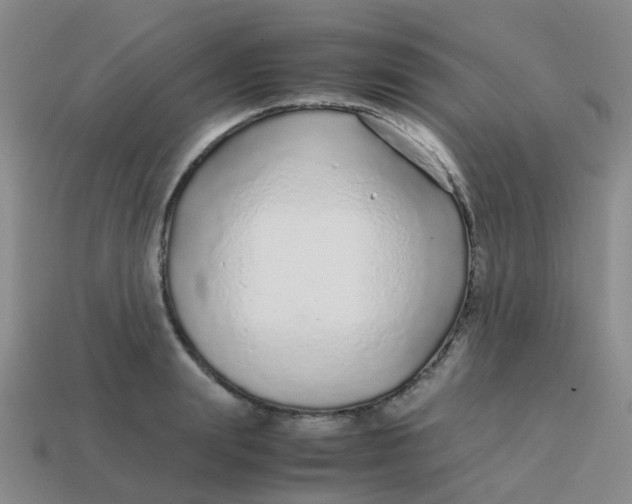 X0000113560847200910161455