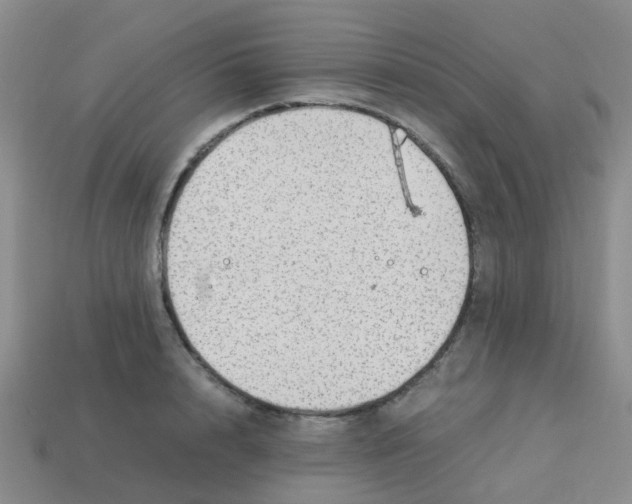 X0000113560848200910161455