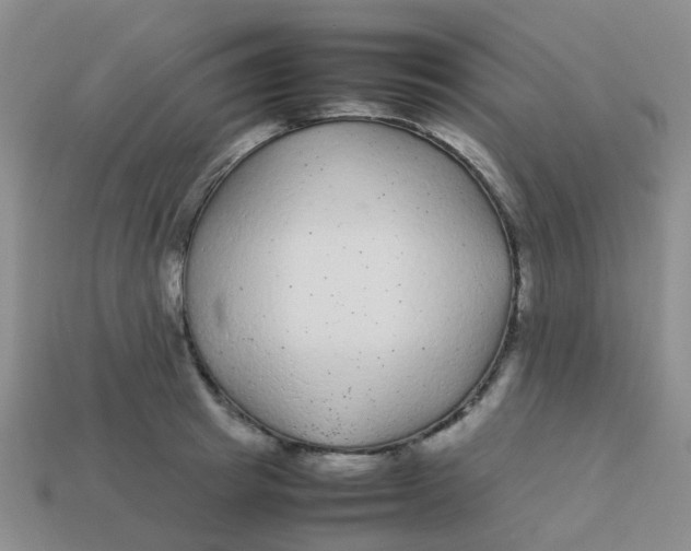 X0000113560849200910161455