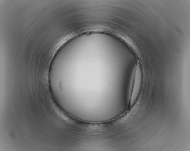 X0000113560850200910161455
