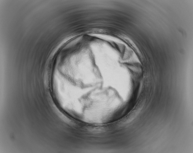 X0000113560851200910161455