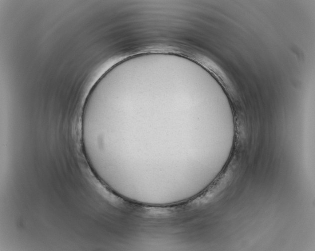 X0000113560852200910161455