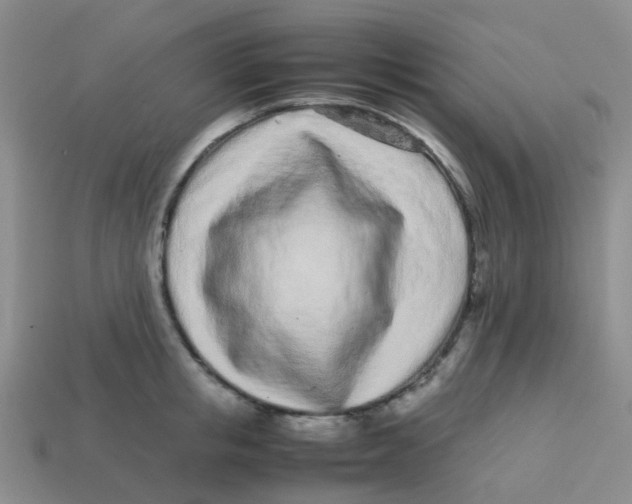 X0000113560853200910161455