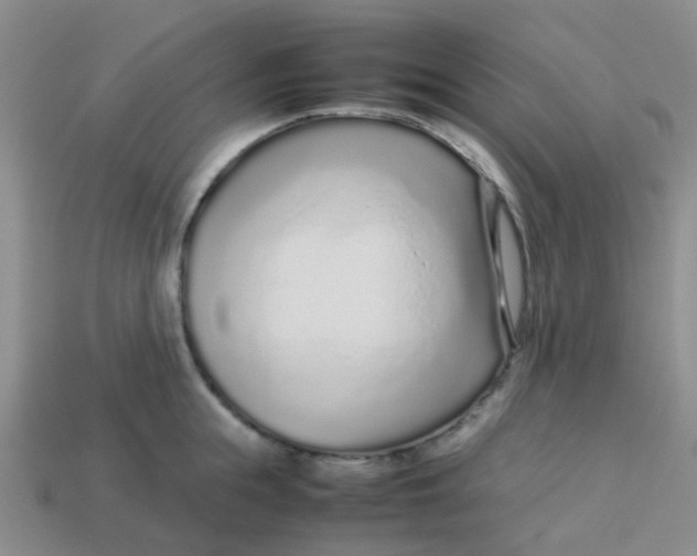 X0000113560855200910161455