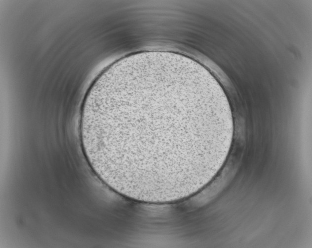 X0000113560856200910161455