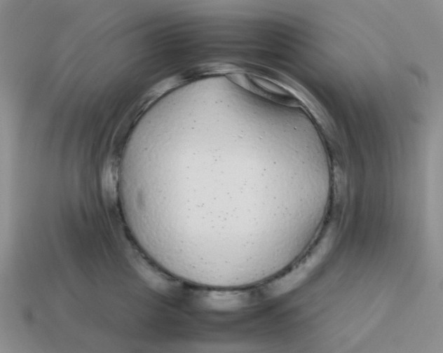 X0000113560857200910161455
