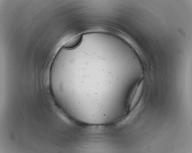 X0000113560858200910161455