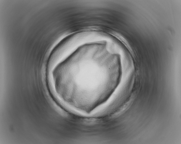 X0000113560859200910161455