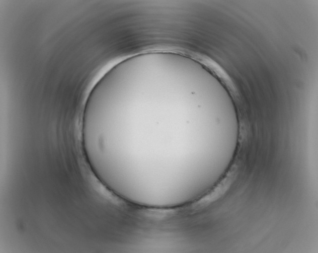 X0000113560860200910161455
