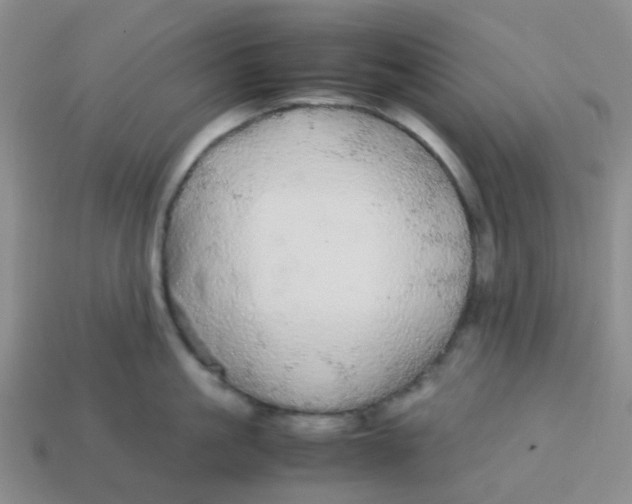 X0000113560861200910161455