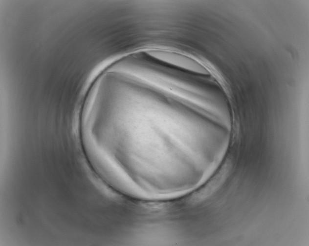 X0000113560862200910161455