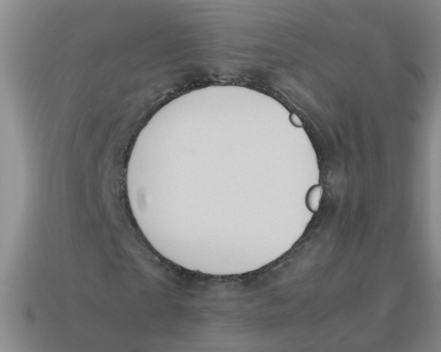 X0000113560865200910161454