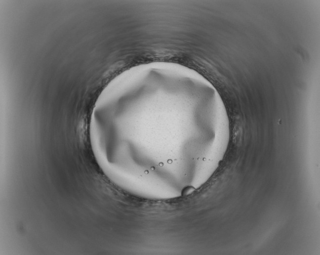 X0000113560866200910161454