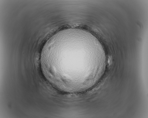 X0000113560867200910161454