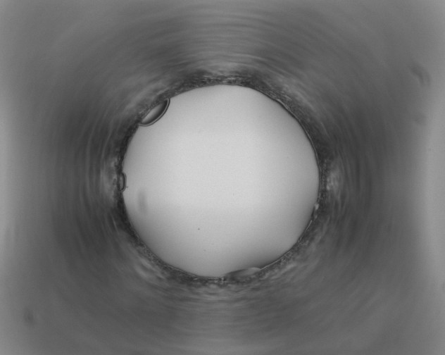 X0000113560868200910161454