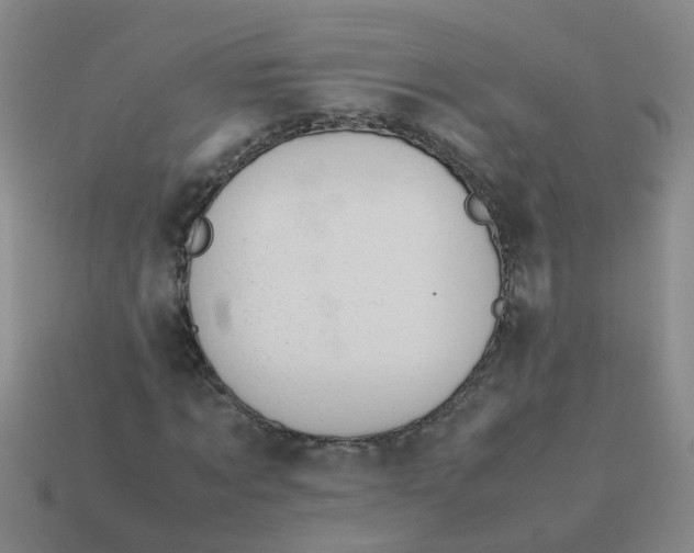 X0000113560869200910161454