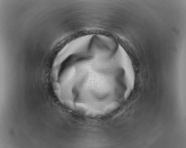 X0000113560870200910161454