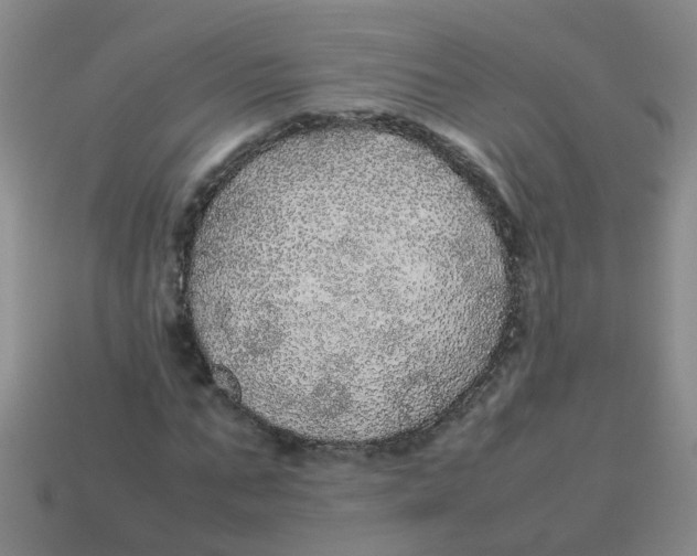 X0000113560871200910161454