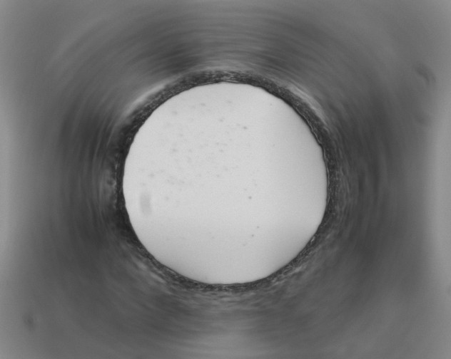 X0000113560872200910161454
