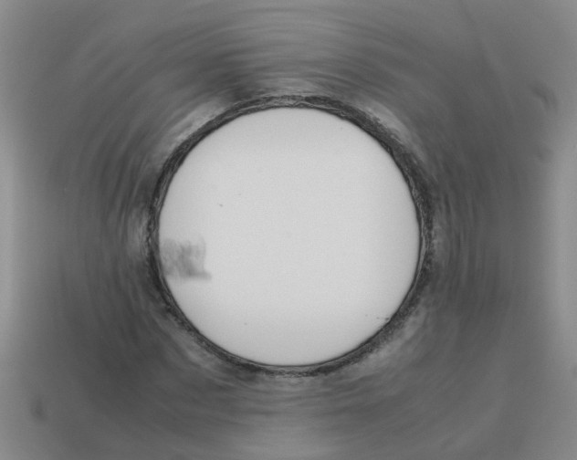 X0000113560873200910161454