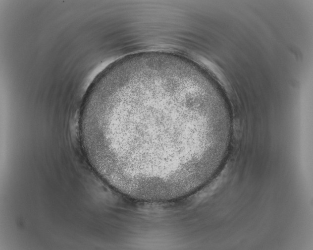 X0000113560875200910161454