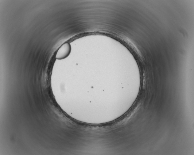 X0000113560876200910161454