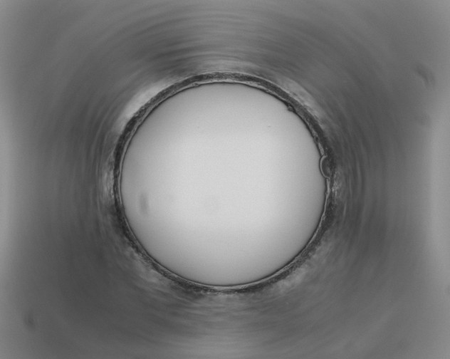 X0000113560877200910161454