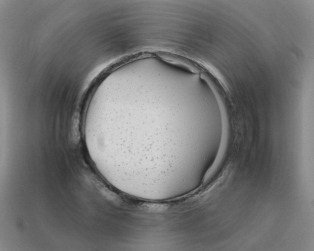 X0000113560878200910161454