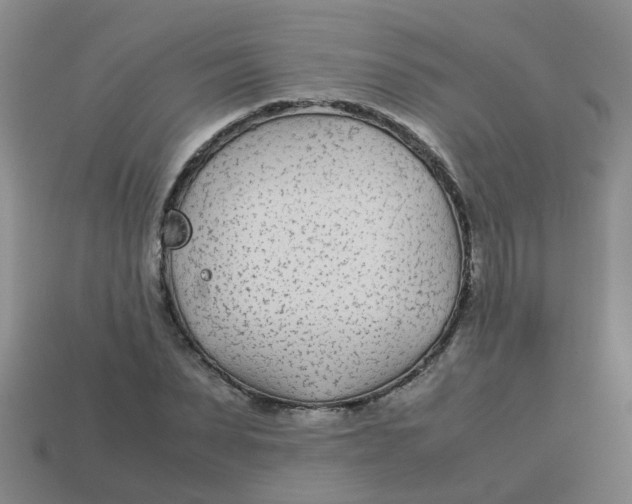 X0000113560879200910161454