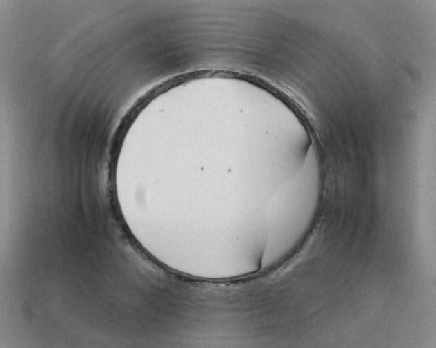 X0000113560880200910161454