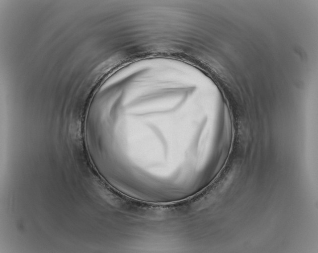 X0000113560881200910161454