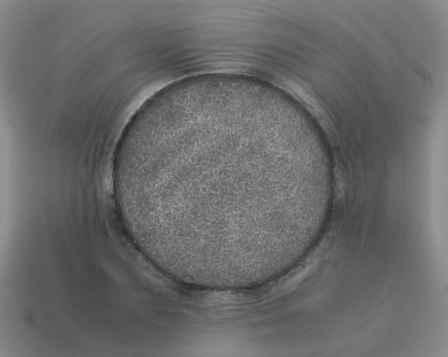 X0000113560883200910161454