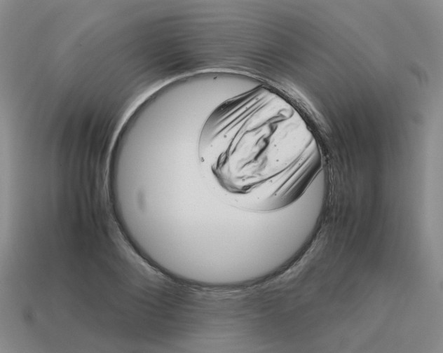 X0000113560884200910161454