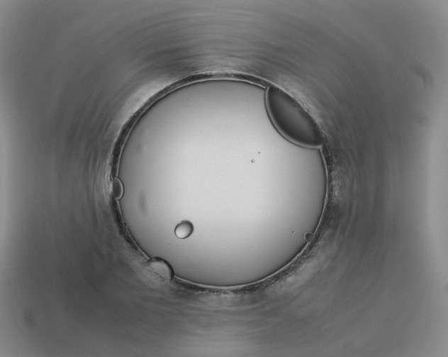 X0000113560885200910161454