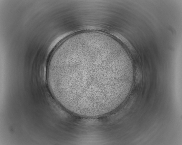 X0000113560886200910161454