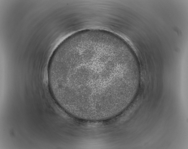 X0000113560887200910161454