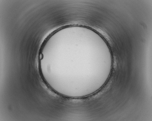 X0000113560888200910161454