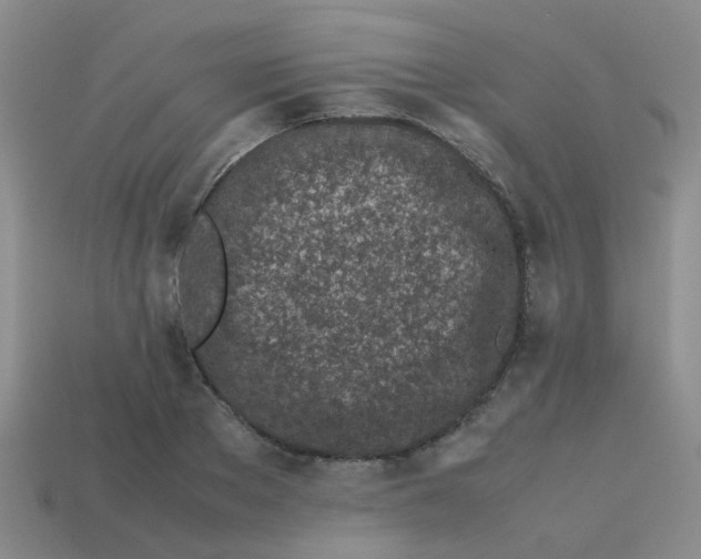 X0000113560889200910161454