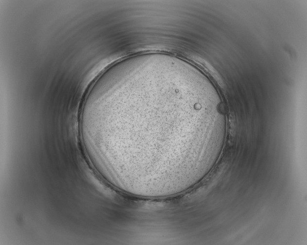 X0000113560890200910161454