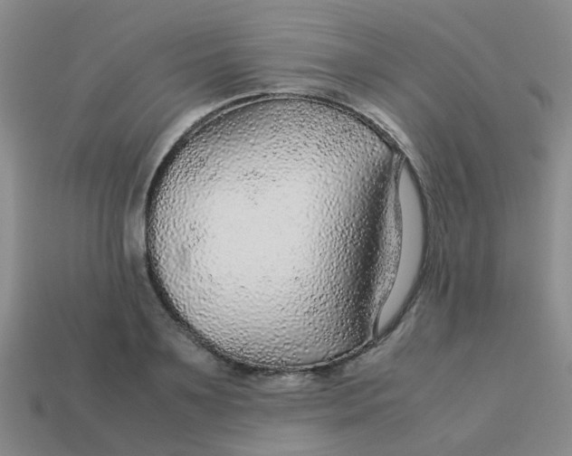 X0000113560891200910161454