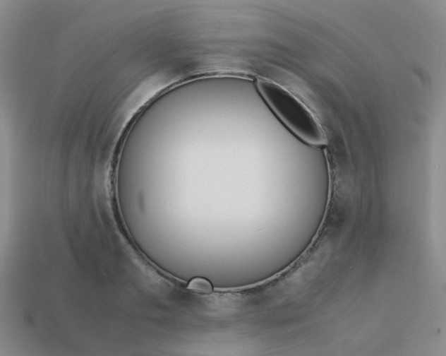X0000113560893200910161454