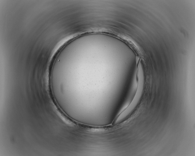X0000113560894200910161454