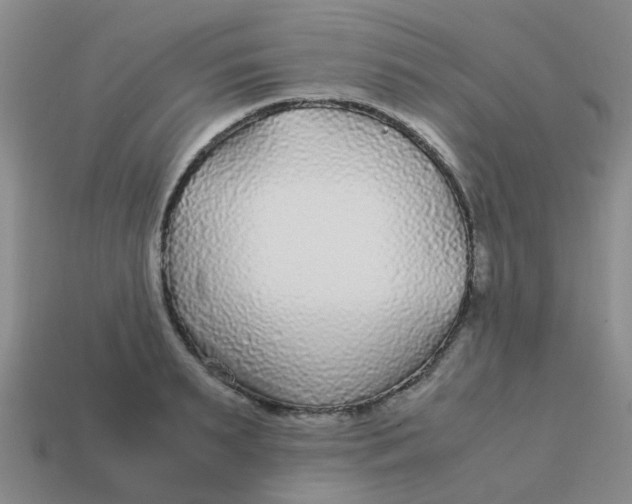 X0000113560895200910161454