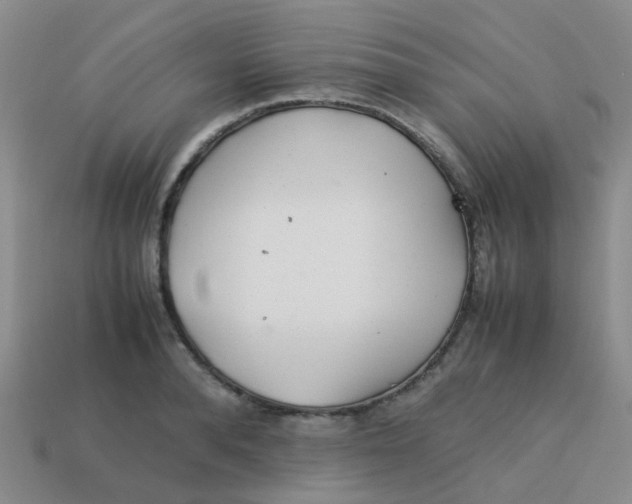 X0000113560896200910161454