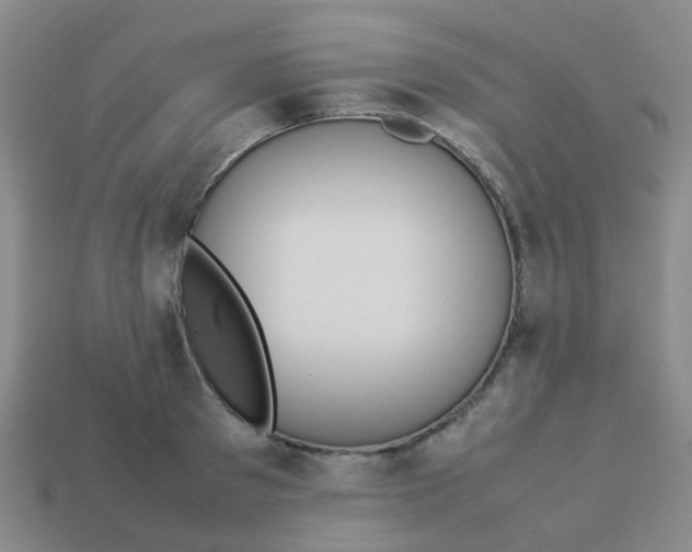 X0000113560897200910161454