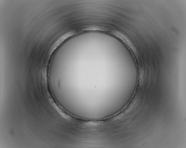 X0000113560898200910161454