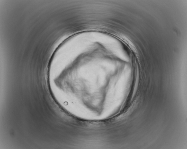 X0000113560899200910161454