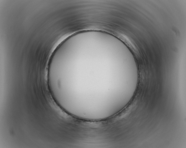 X0000113560900200910161454