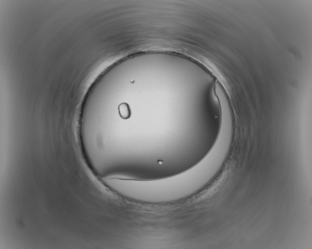 X0000113560901200910161454