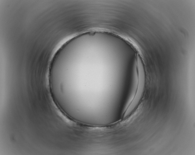 X0000113560902200910161454